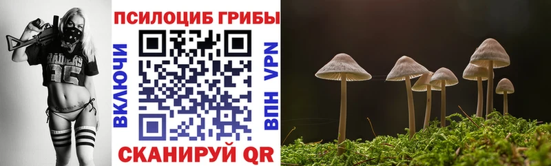 Галлюциногенные грибы Psilocybine cubensis  Шали 
